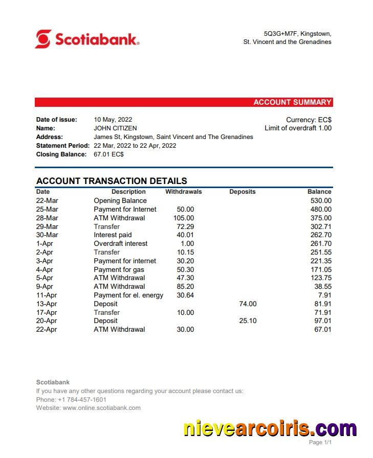 Saint Vincent and The Grenadines Scotiabank bank statement